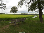 Hollandse Graven